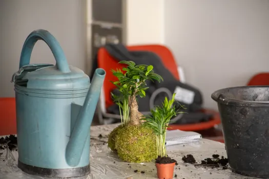 Copyright : Caryl Treuthardt